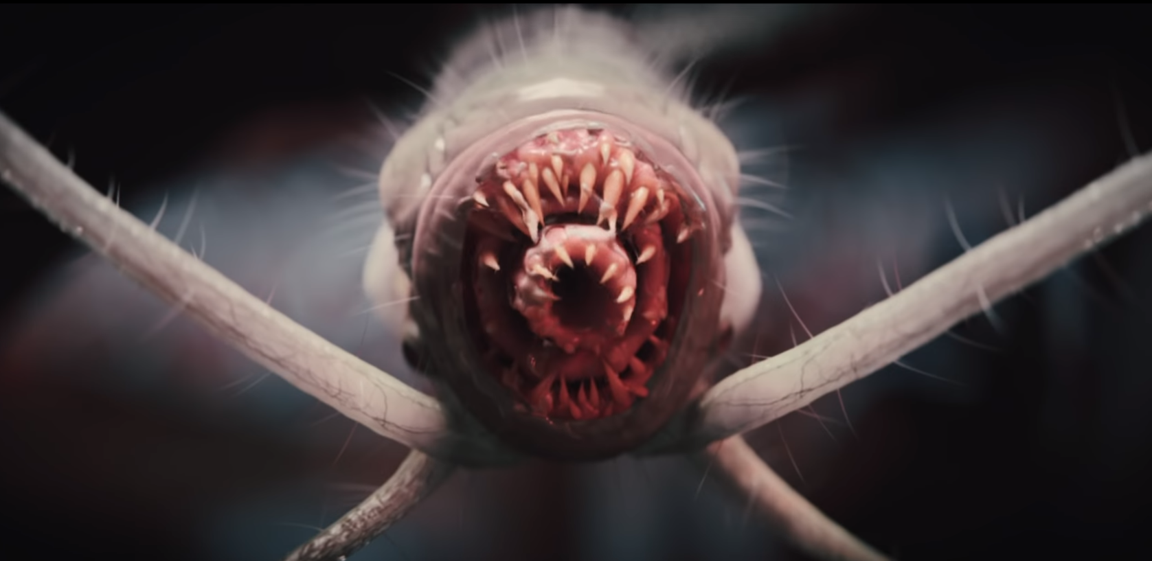 5 Things You Should Know About Baldur’s Gate 3