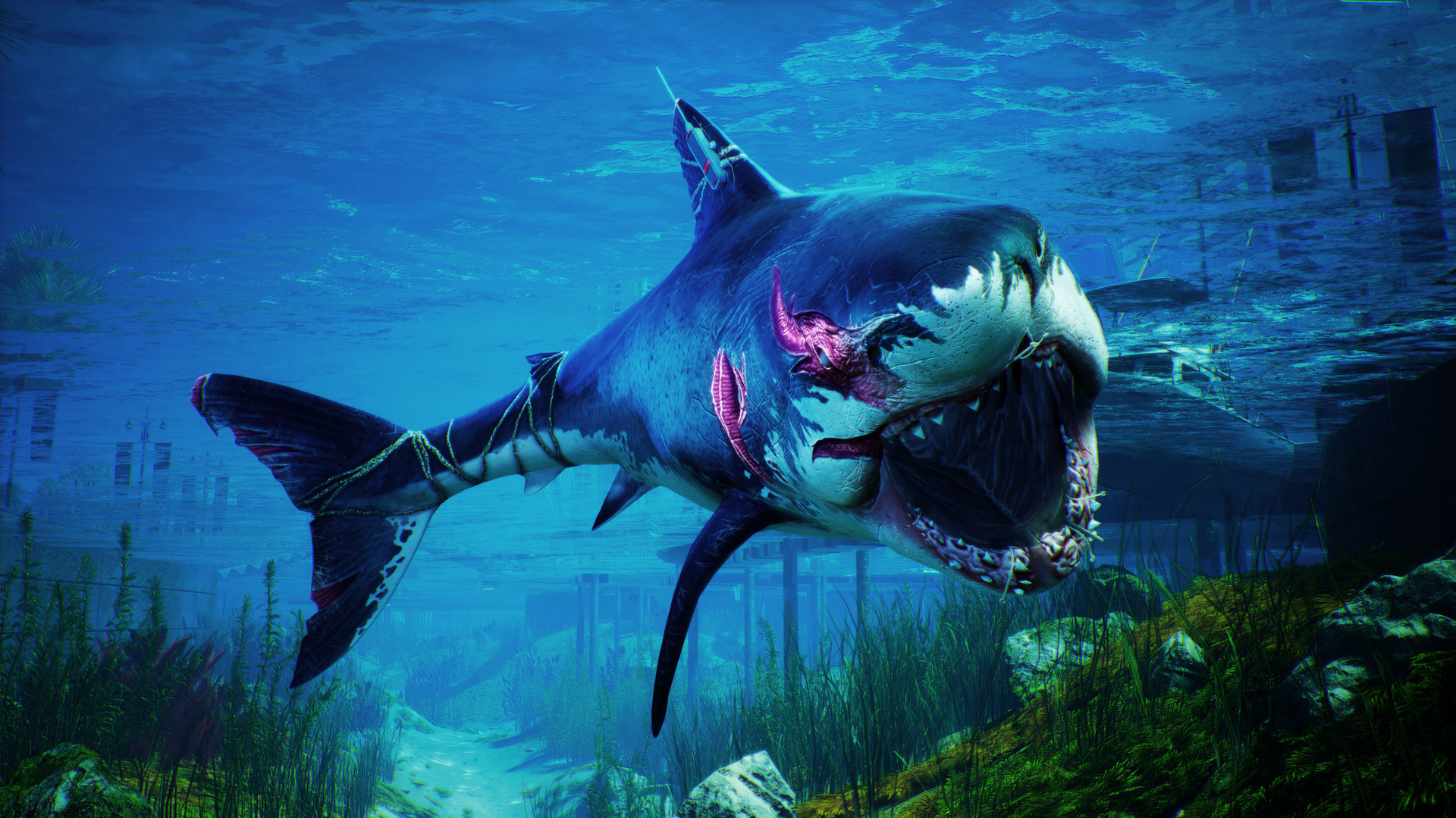 Maneater Tips and Tricks