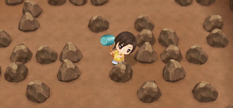 Story Of Seasons: Friends Of Mineral Town Tips