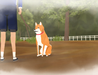 Earn the rights to pet a dog in A Shiba Story