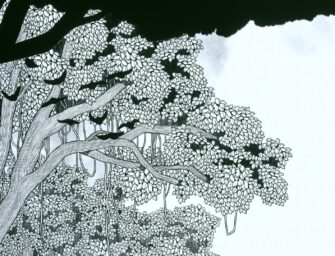 Hand-drawn adventure Unfolded: Camellia Tales unveils the shrouded history of South Korea’s Jeju Island