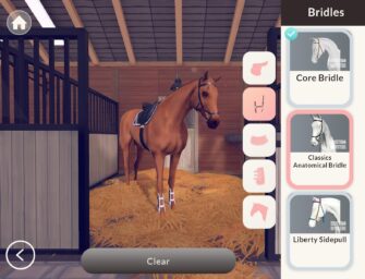 Mucking Out The Stables of Horse Games